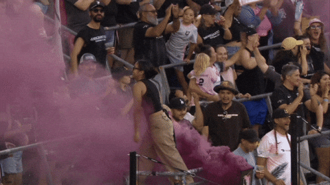 Fans Acfc GIF by National Women's Soccer League