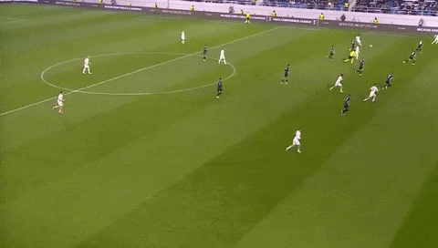 Reiny giphyupload GIF