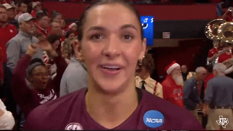 Texas Am Volleyball GIF by Texas A&M Athletics