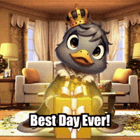 Happy Best Day Ever GIF by sirduckbeth