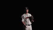University Of Louisville Baseball GIF by Louisville Cardinals