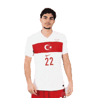 Ay Yildiz Millitakim Sticker by Kaan Ayhan