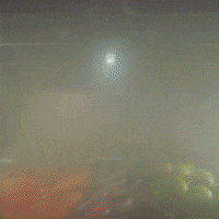 Like A Boss Cooking GIF by Bosch