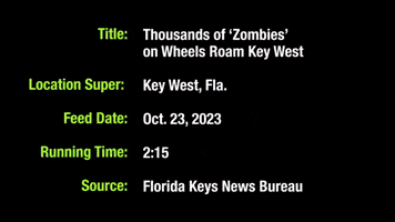 'Zombies' Ride Bikes Down Key West's Shoreline During Halloween Festival