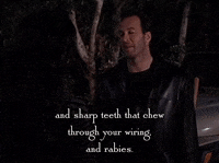 season 5 netflix GIF by Gilmore Girls 