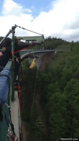 bungee jumping GIF