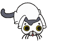 Cat Sticker