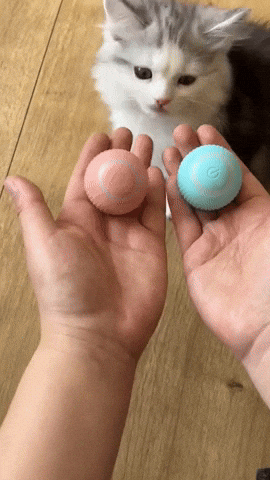 da8cc40f3e00416888ce5bd1b168f707 giphysubir GIF