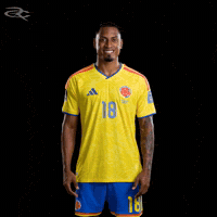 Fifa World Cup Colombia GIF by Respective