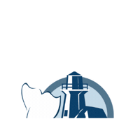 Opera Yyt Sticker by operaontheavalon