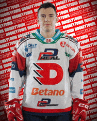Hockey Czech GIF by HC Dynamo Pardubice