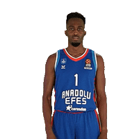Rodrigue Beaubois Basketball Sticker by Anadolu Efes SK