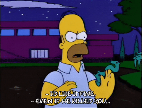 homer simpson GIF