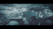 Jumping Destiny 2 GIF by DestinyTheGame