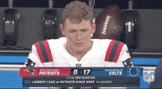 New England Patriots Football GIF by NFL