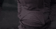 Halloween Bird GIF by Crypt TV