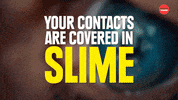 Facts Germs GIF by BuzzFeed