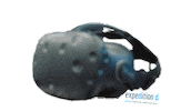 Virtual Reality Vr Sticker by Coaching4Future