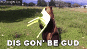 Drama Sitting GIF