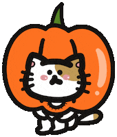 Happy Trick Or Treat Sticker by Playbear520_TW