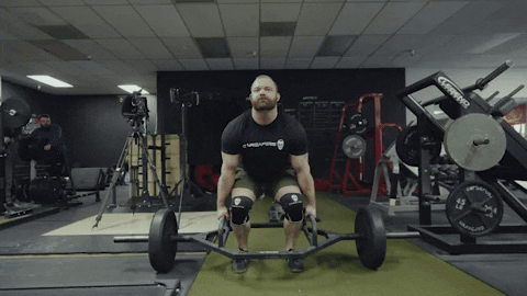 Worlds Strongest Man Fitness GIF by GYMREAPERS