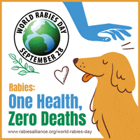 rabies_alliance  GIF