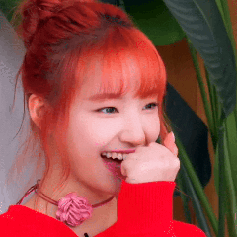 K Pop Smile GIF