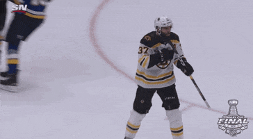 excited ice hockey GIF by NHL