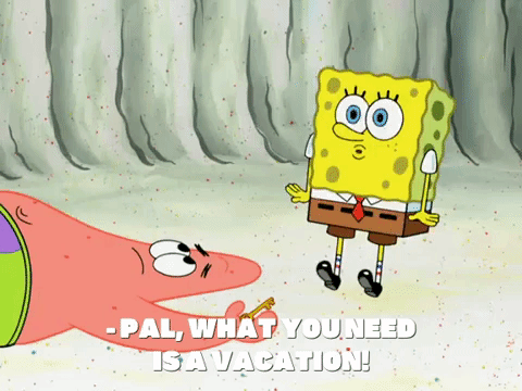 season 8 spongebob's runaway roadtrip: patrick's staycation GIF by SpongeBob SquarePants