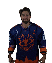 Sport Hokej Sticker by HCSTADION