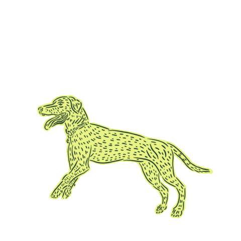 Dogwalkers giphyupload Sticker
