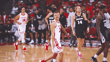 Lets Go Cheer GIF by Wisconsin Badgers