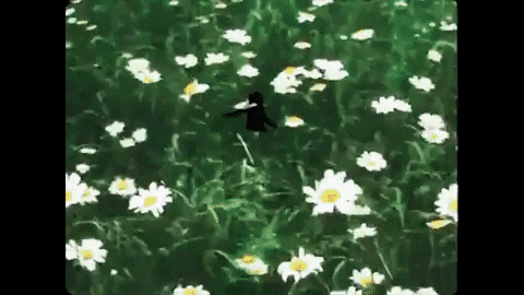 Youtube Film GIF