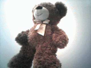 teddy bear GIF