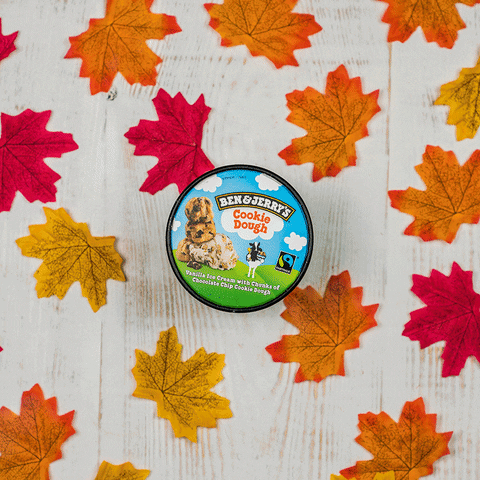 benandjerryspl giphyupload ice cream cookie dough ben and jerrys GIF