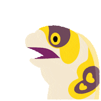 What The No Sticker by pikaole