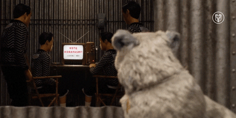 Movies gif. Pug from Isle of Dogs is staring at a TV set with its owners before rapidly turning its face towards us in a look of shock. Their mouth hangs open and they look utterly baffled.