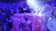 Sport GIF by UFC