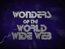 Squirrel Monkey Wonders Of The World Wide Web GIF
