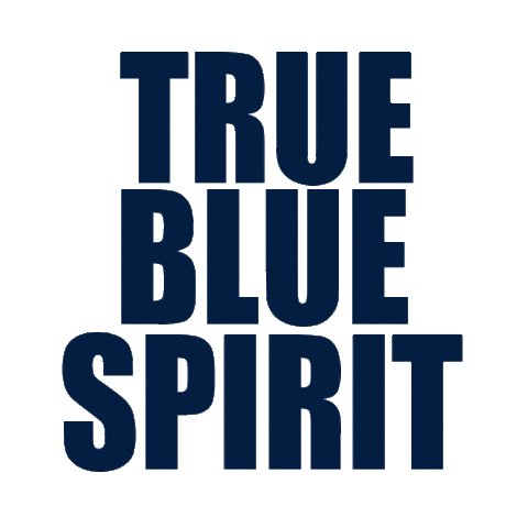 true blue eagles Sticker by Georgia Southern University - Auxiliary Services