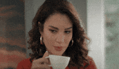 Dizi Hande GIF by RECORD