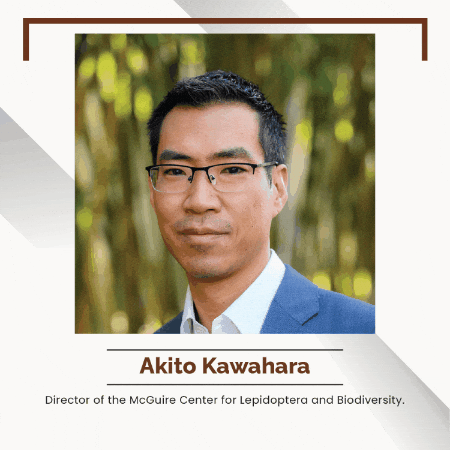 akitokawahara giphygifmaker giphyattribution GIF