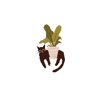 minmoostudio cat nature plants black cat Sticker