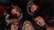red rose speedway wings GIF by Paul McCartney