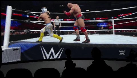 Wwe Vr GIF by Leroy Patterson