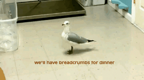 dinner breadcrumbs GIF