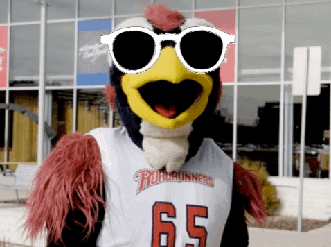 Denver Pridefest GIFs - Find & Share on GIPHY