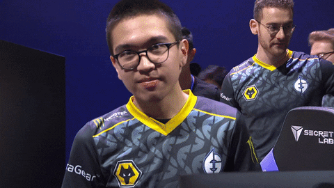 League Of Legends Thumbs Up GIF by Evil Geniuses