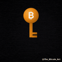 The_Bitcoin_Act bitcoin key wallet bitcoin only GIF