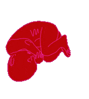 Confused Happy Birthday Sticker